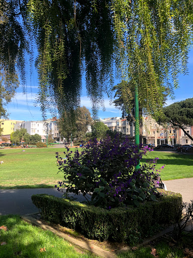 Park «Washington Square Park», reviews and photos, Filbert St & Stockton St., San Francisco, CA 94133, USA