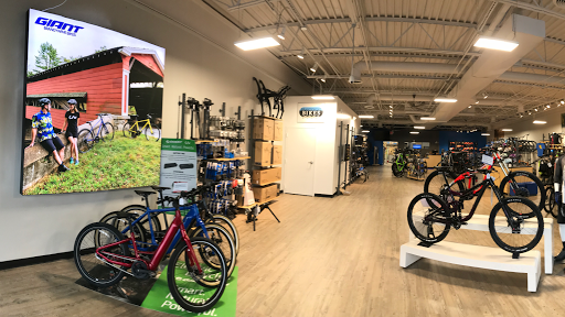 Bicycle Store «Brandywine Bikes», reviews and photos, 1812 Marsh Rd, Wilmington, DE 19810, USA
