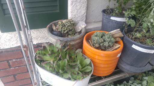 Donut Shop «Best Donuts In Town», reviews and photos, 2080 Mill St, Reno, NV 89502, USA