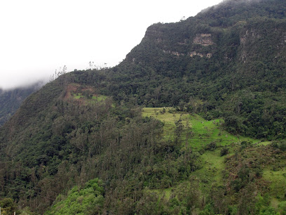 Bosques Peña de Juiquín - Potreritos, Sueva - COLOMBIA.