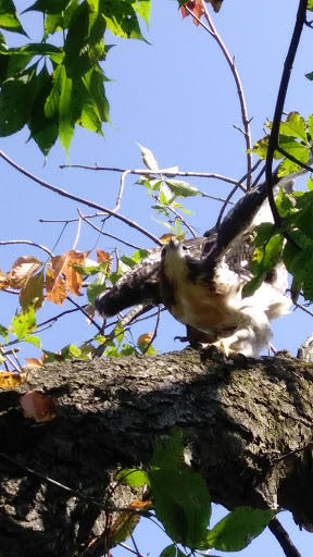 Nature Preserve «Carpenter Nature Center», reviews and photos, 12805 St Croix Trail S, Hastings, MN 55033, USA