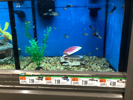 Pet Supply Store «Pet Supplies Plus», reviews and photos, 375 Paterson Ave #105, Wallington, NJ 07057, USA