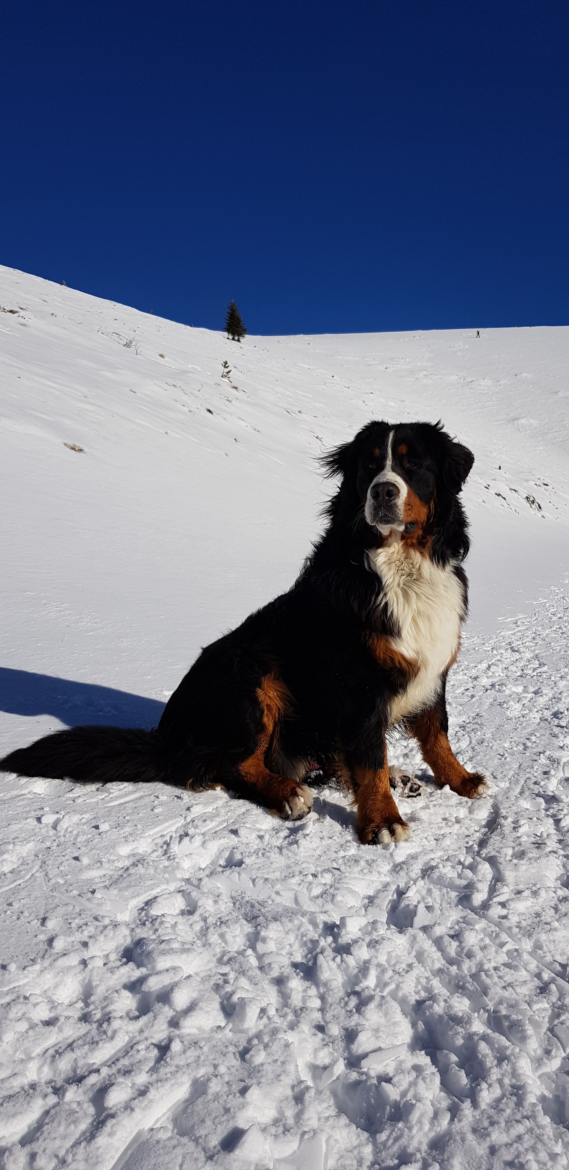 Photo n° 5 de l'avis de Joe.o fait le 04/02/2019 à 22:04