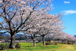 Sakurazutsumi Park image