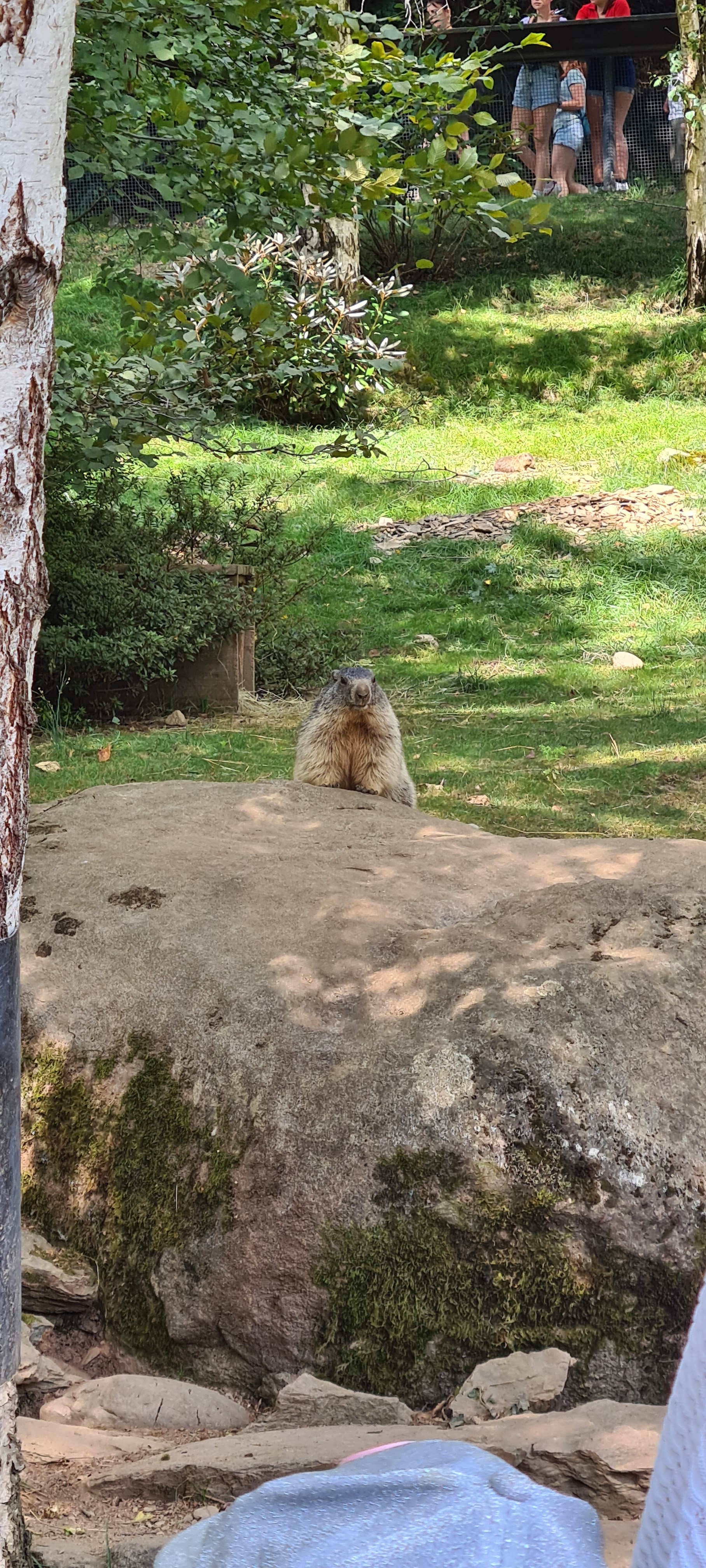 Photo n° 6 de l'avis de Julie.u fait le 15/08/2022 à 13:03