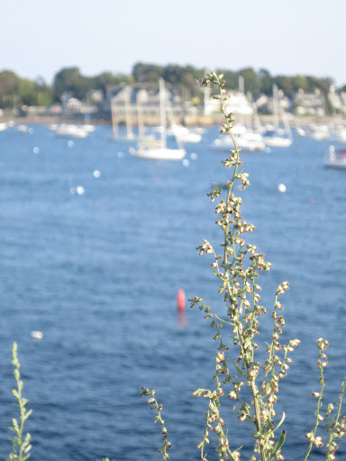 Park «Fort Sewall», reviews and photos, 8 Fort Sewall Ln, Marblehead, MA 01945, USA