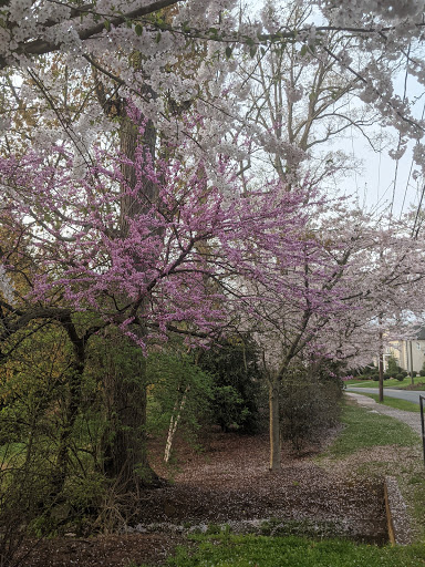 Golf Club «Myers Park Country Club Golf», reviews and photos, 2415 Roswell Ave, Charlotte, NC 28209, USA