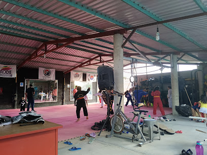 TAEKWONDO GUERRERO INDOMABLE, GYM GLADIADORES CROSS