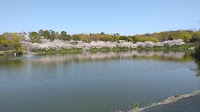 園内バス停 大池東