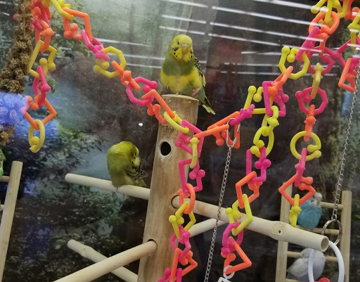 Pet Supply Store «Petco Animal Supplies», reviews and photos, 2515 Corridor Way #3, Coralville, IA 52241, USA