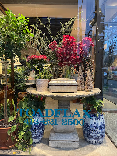 Toadflax Inc, 5500 Walnut St, Pittsburgh, PA 15232, USA, 