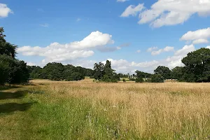 Catton Park image