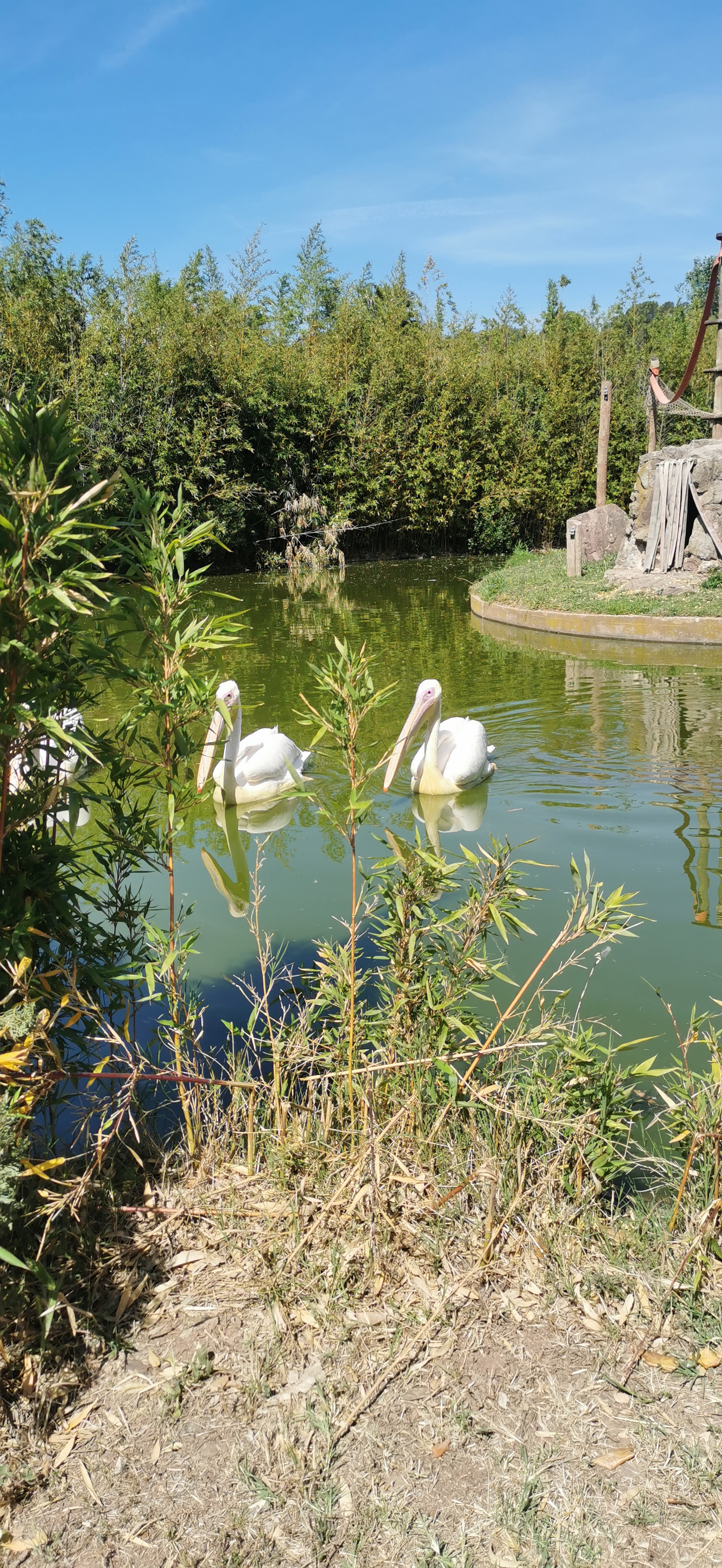 Photo n° 3 de l'avis de CHRISTINE.T fait le 06/05/2023 à 20:00