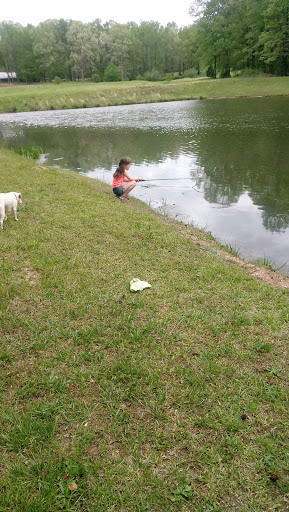 Discount Store «Dollar Tree», reviews and photos, 5 Auburn Park Dr, Auburn, GA 30011, USA