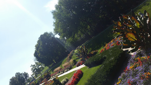 Zoo «Phillips Park Zoo», reviews and photos, 1000 Ray Moses Dr, Aurora, IL 60505, USA