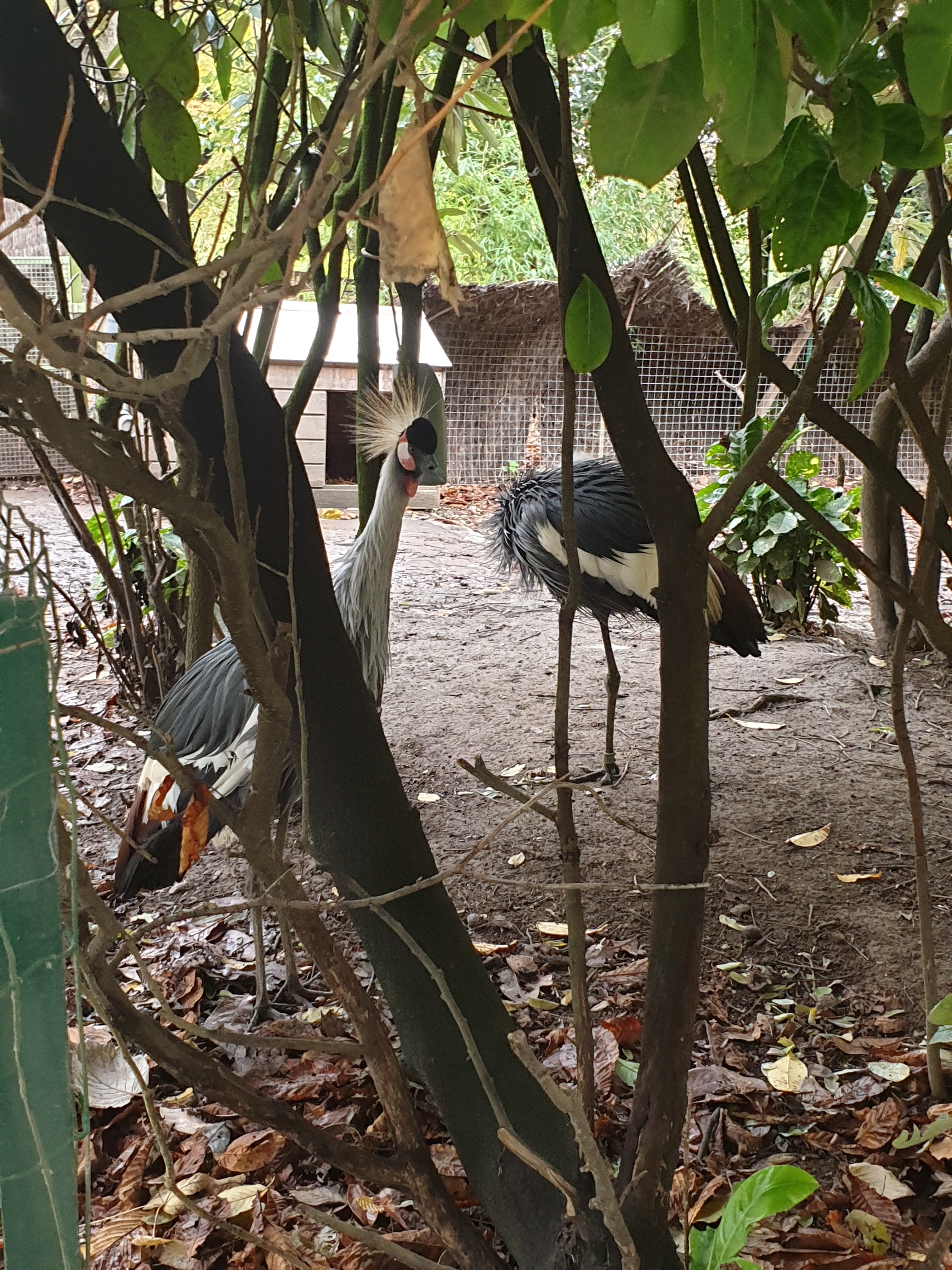 Photo n° 2 de l'avis de Jeremy.e fait le 11/07/2021 à 09:11