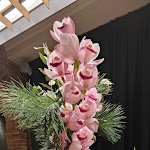 Photo n°7 de l'avis de Stella.i fait le 06/01/2023 à 16:20 sur le  Dama Restaurant Venezia à Venice