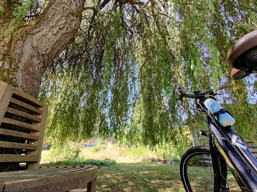 Outdoor Sports Store «Edge & Spoke», reviews and photos, 7875 Leary Way NE, Redmond, WA 98052, USA