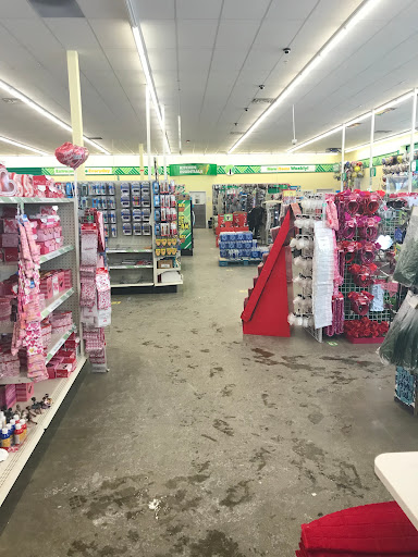 Dollar Store «Dollar Tree», reviews and photos, 1732 Dix Hwy, Lincoln Park, MI 48146, USA