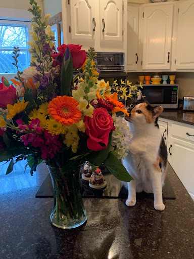 Florist «Philips Florist, Inc.», reviews and photos, 920 Market St, Oxford, PA 19363, USA