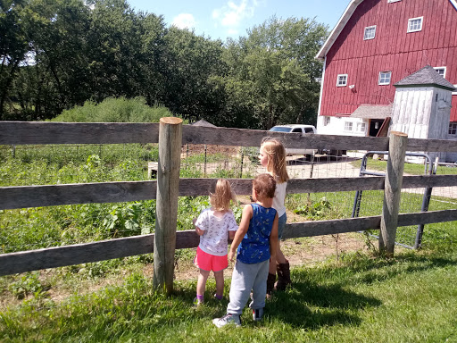 Nature Preserve «Brunner Family Forest Preserve», reviews and photos, 18N681 State Rte 31, Carpentersville, IL 60110, USA