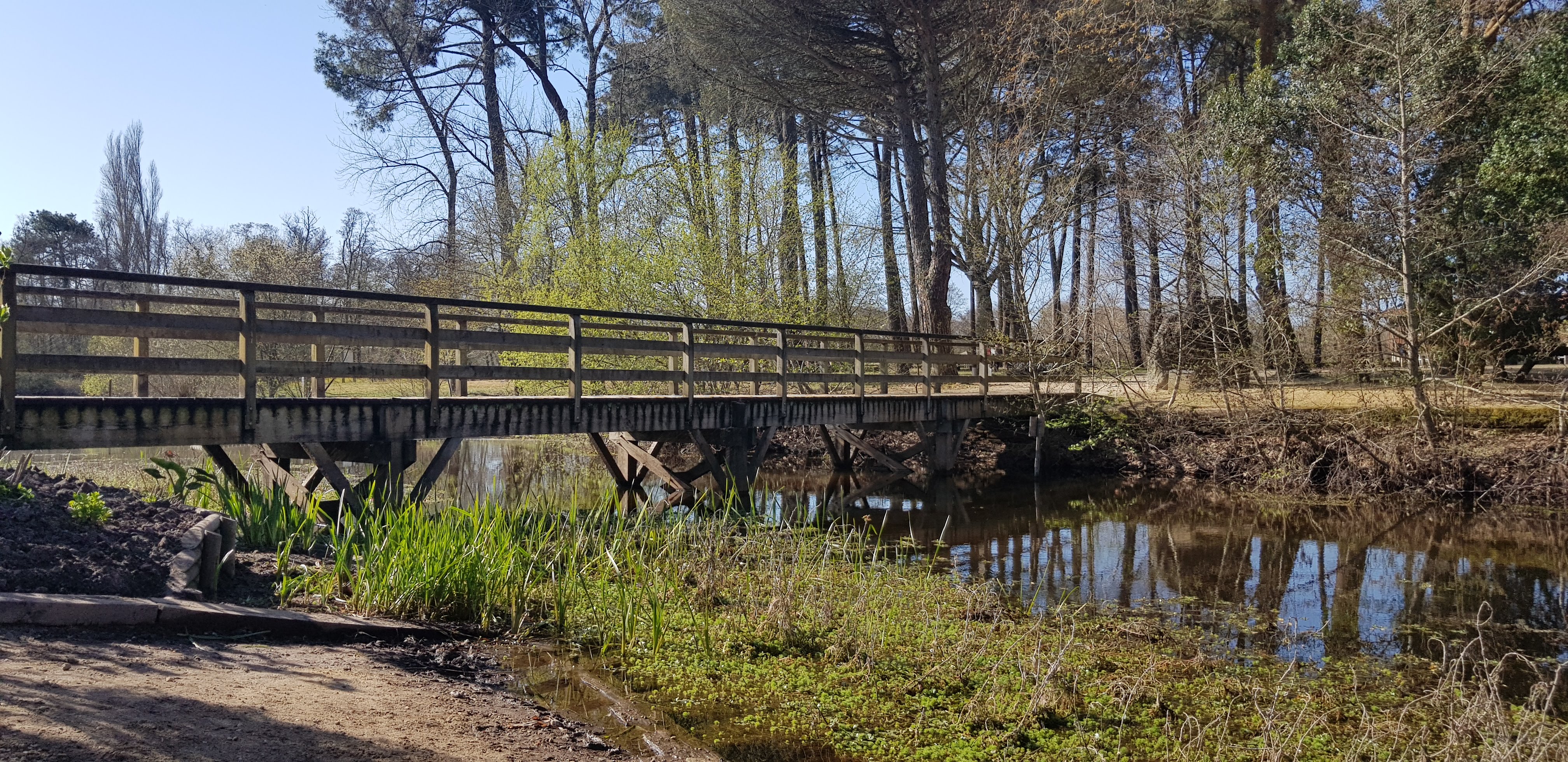 Photo n° 25 de l'avis de Nathalie.o fait le 29/03/2021 à 15:45