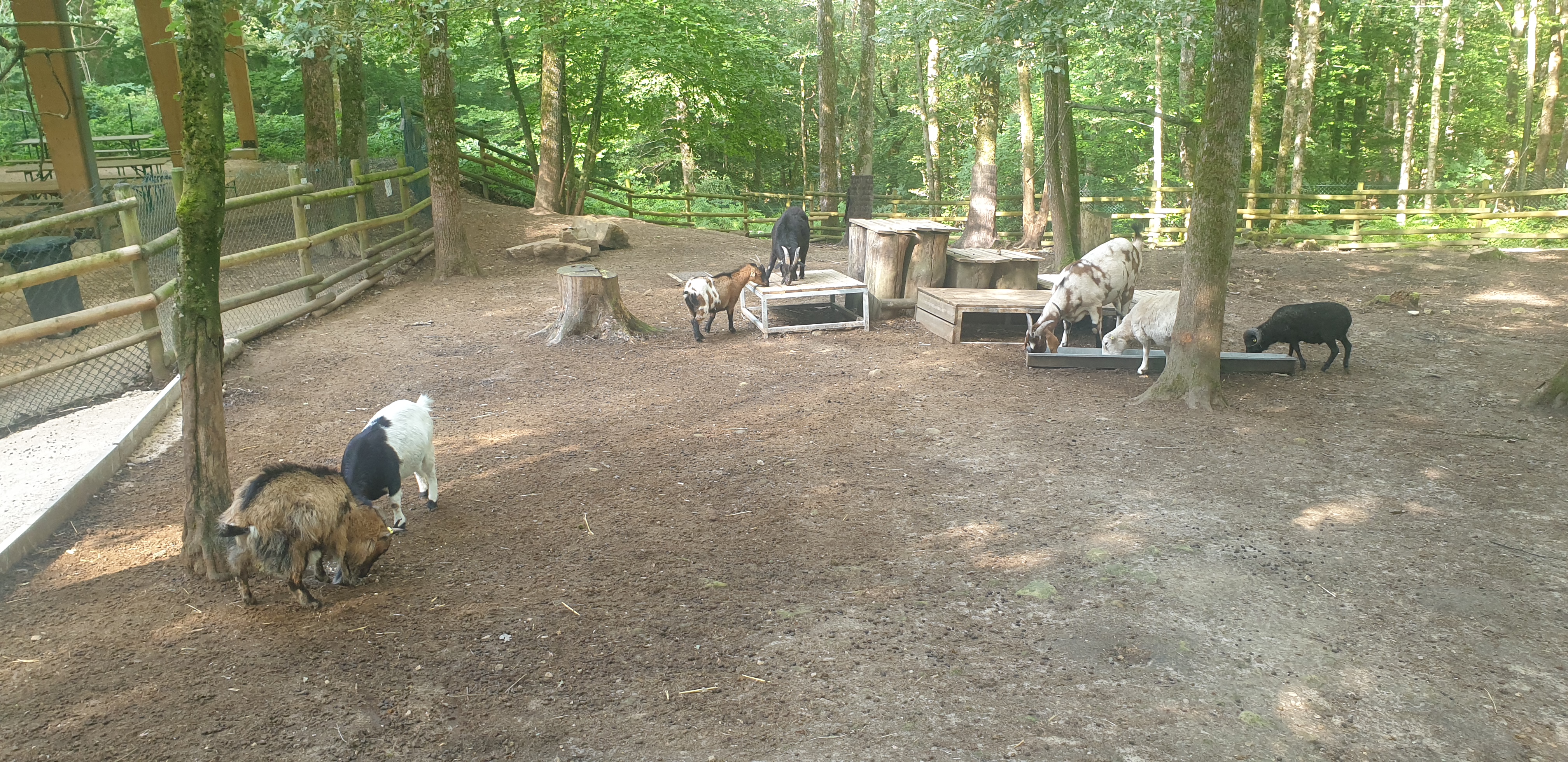 Photo n° 8 de l'avis de YetJ1402. fait le 16/07/2023 à 15:31