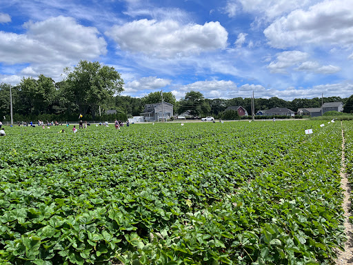 Farm «Four Town Farm», reviews and photos, 90 George St, Seekonk, MA 02771, USA