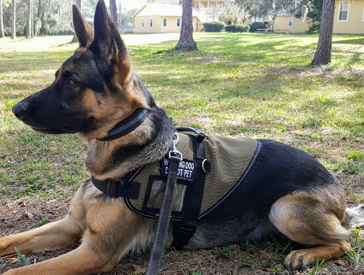 Community Center «University Area Community Center», reviews and photos, 14013 N 22nd St, Tampa, FL 33613, USA