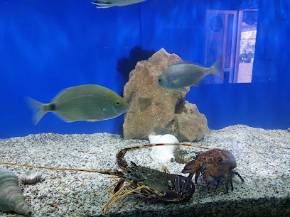 Aquaworld Aquarium & Reptile Rescue Centre