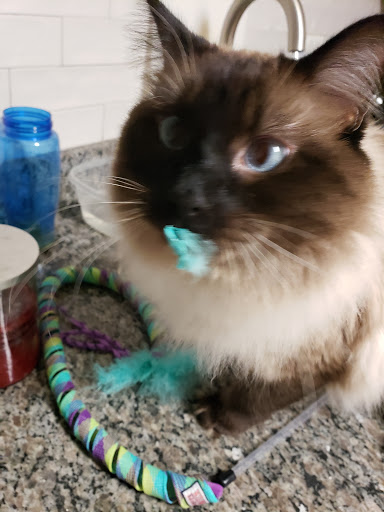 Pet Supply Store «Petco Animal Supplies», reviews and photos, 244 Pioneer Trail, Chaska, MN 55318, USA