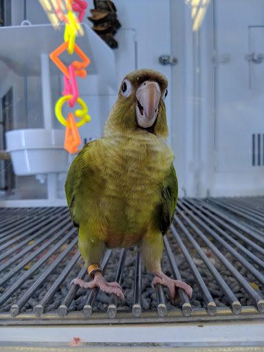 Pet Supply Store «Petco Animal Supplies», reviews and photos, 693 Middletown Warwick Rd, Middletown, DE 19709, USA