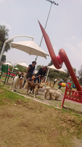 Parque Canino Ehecatl