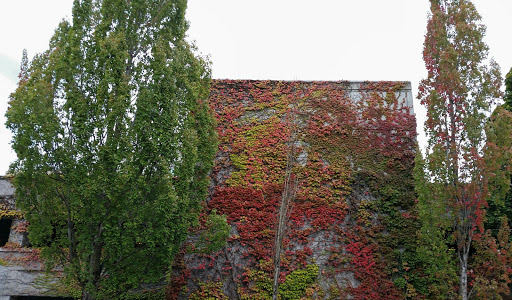 Community Center «Campbell Community Center», reviews and photos, 155 High St, Eugene, OR 97401, USA