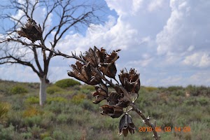 Oasis State Park - photo 67