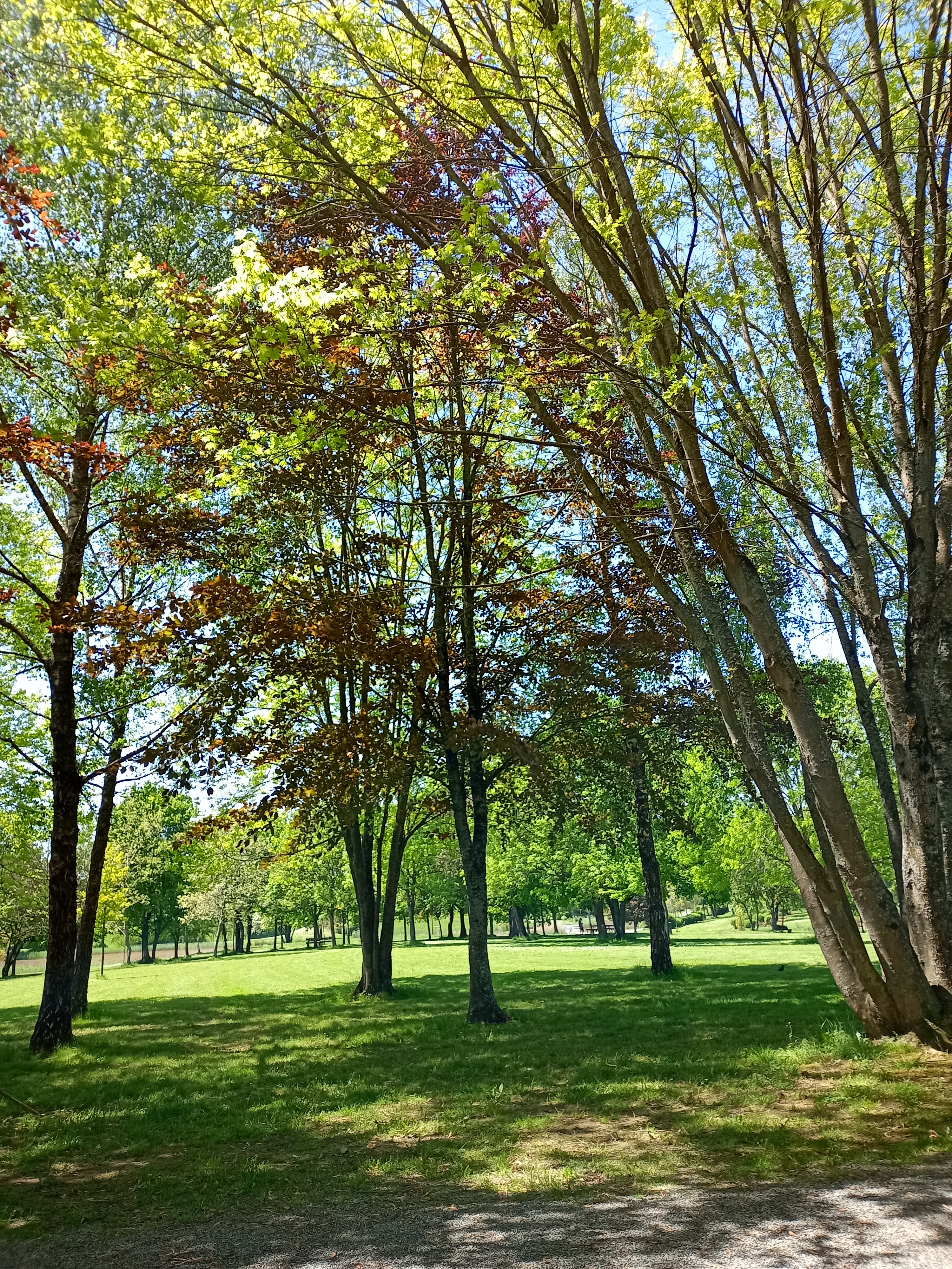 Photo n° 5 de l'avis de Christophe.t fait le 28/05/2021 à 12:58
