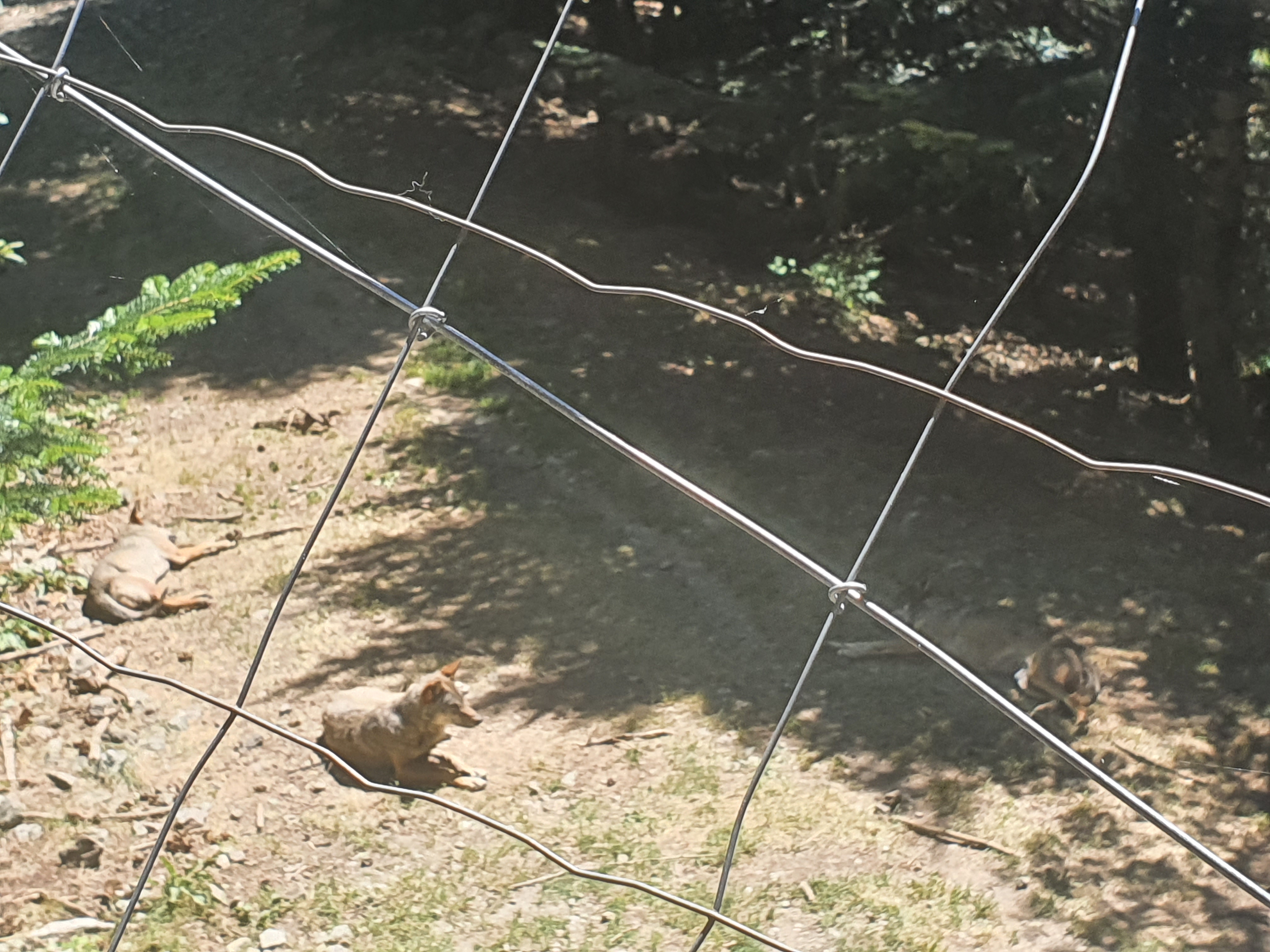 Photo n° 3 de l'avis de Krystel.a fait le 09/08/2023 à 06:36