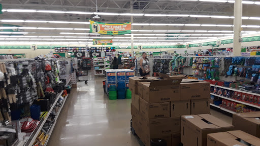 Dollar Store «Dollar Tree», reviews and photos, 2400 Boca Chica Blvd, Brownsville, TX 78521, USA