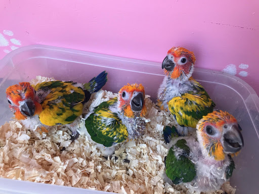 Pet Supply Store «E & M Pet Shop», reviews and photos, 5900 Whittier Blvd, Los Angeles, CA 90022, USA