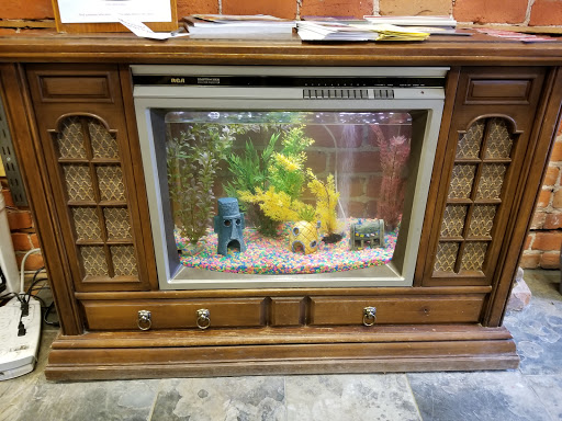 Outdoor Sports Store «Moosejaw», reviews and photos, 327 S Main St, Ann Arbor, MI 48104, USA