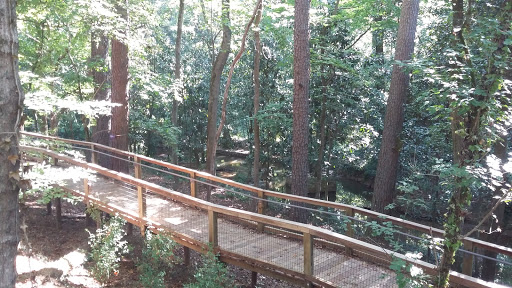 Nature Preserve «Fernbank Forest», reviews and photos, 767 Clifton Rd, Atlanta, GA 30307, USA