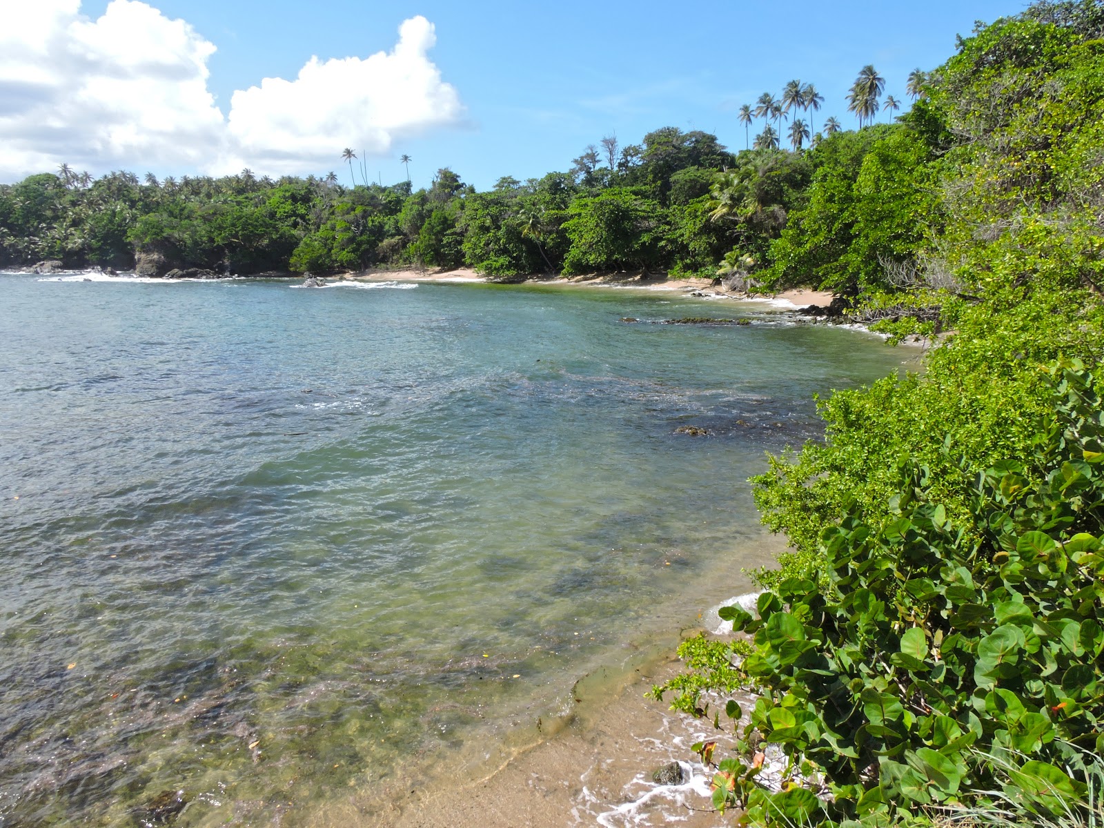 Fotografija La Foret beach z turkizna čista voda površino