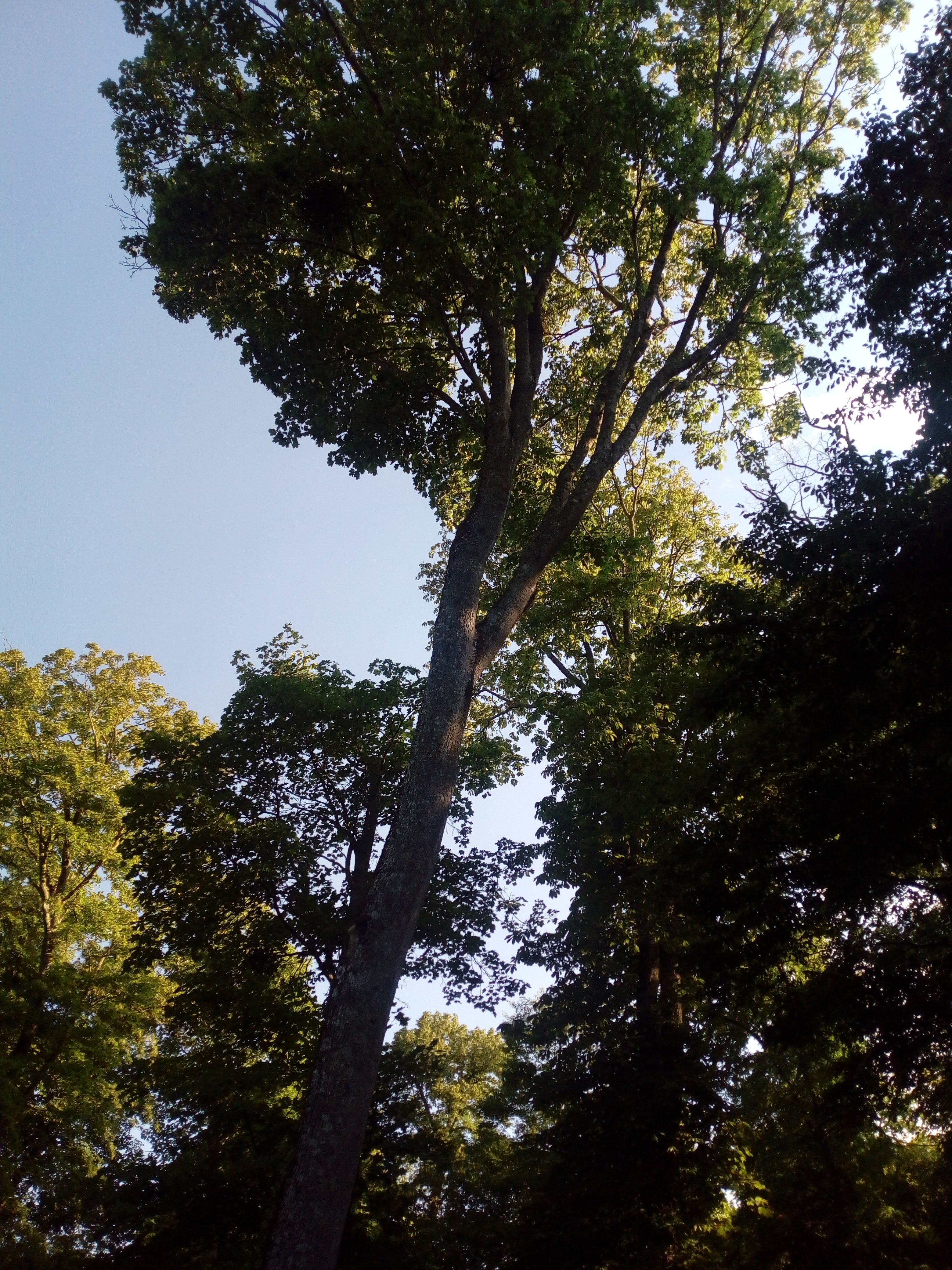Photo n° 7 de l'avis de Nana. fait le 23/07/2019 à 13:59