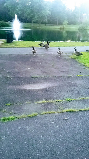 Park «Monte Irvin Orange Park», reviews and photos, S Harrison St, City of Orange, NJ 07050, USA