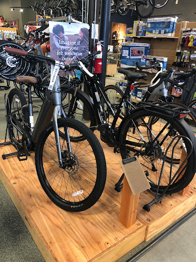 Bicycle stores Charlotte