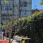 Photo n°7 de l'avis de Kristen.i fait le 13/04/2024 à 14:07 sur le  Borboleta à Porto