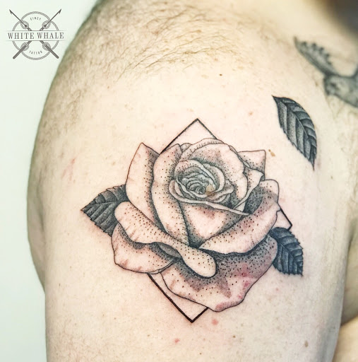 Explore cardinal tattoo ideas, creative tattoo ideas in Cincinnati, available at White Whale