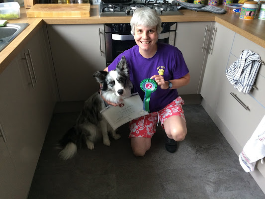 Staines Dog Training