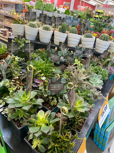 Grocery Store «Grocery Outlet Bargain Market», reviews and photos, 1391 E Yosemite Ave, Manteca, CA 95336, USA