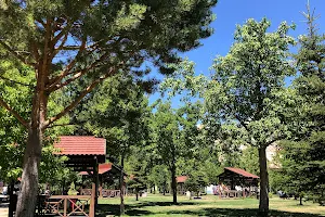 Pasabahce Picnic and Recreation Area image